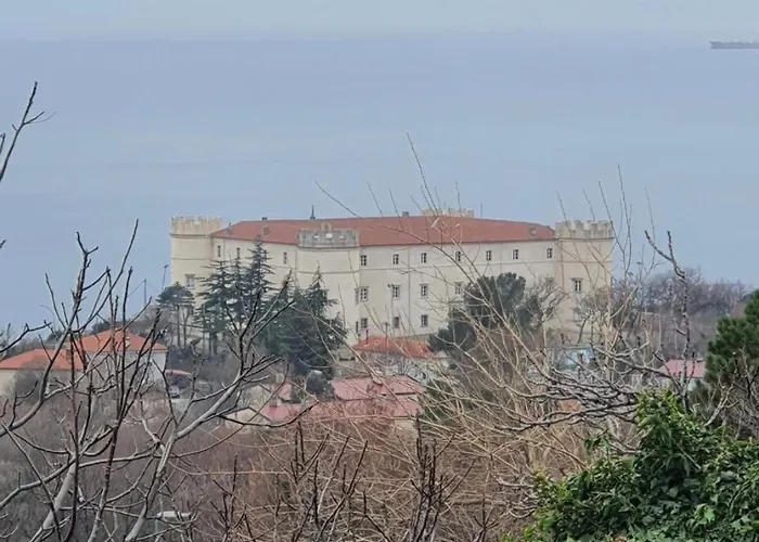 Tena Sa Vrtom I Pogledom Na
